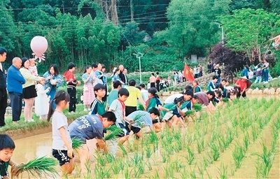 媒体中心供, AA, 届和美乡村