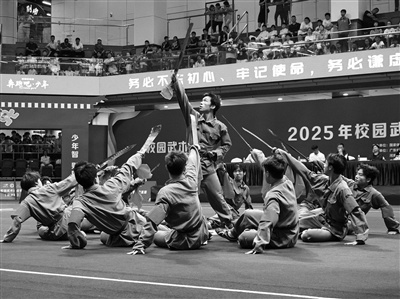 地区的水平 地区的水平