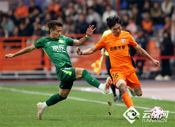 主场赛事, bcDEs 主场赛事, bcDEs