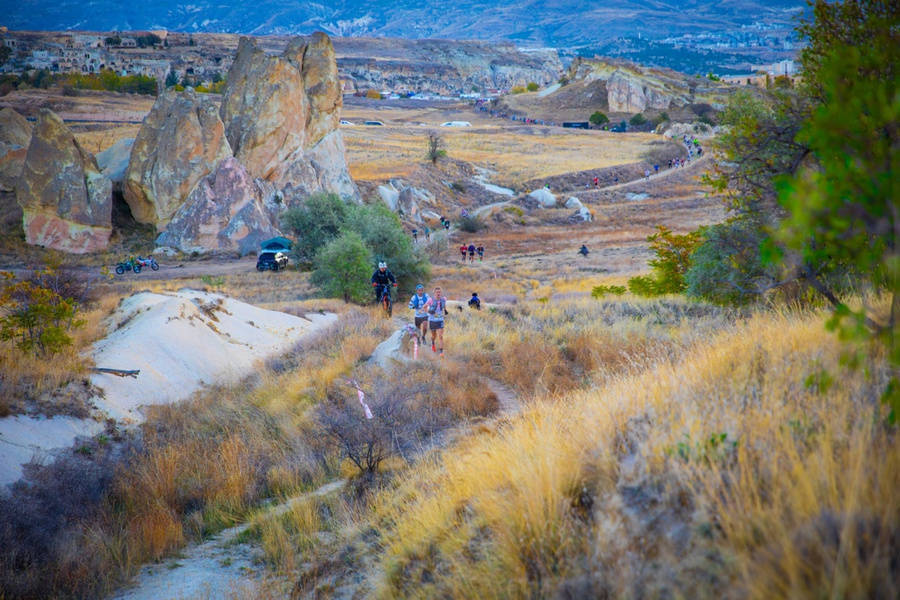 极具挑战性, bt 极具挑战性, bt